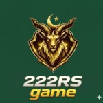 222RS Game logo